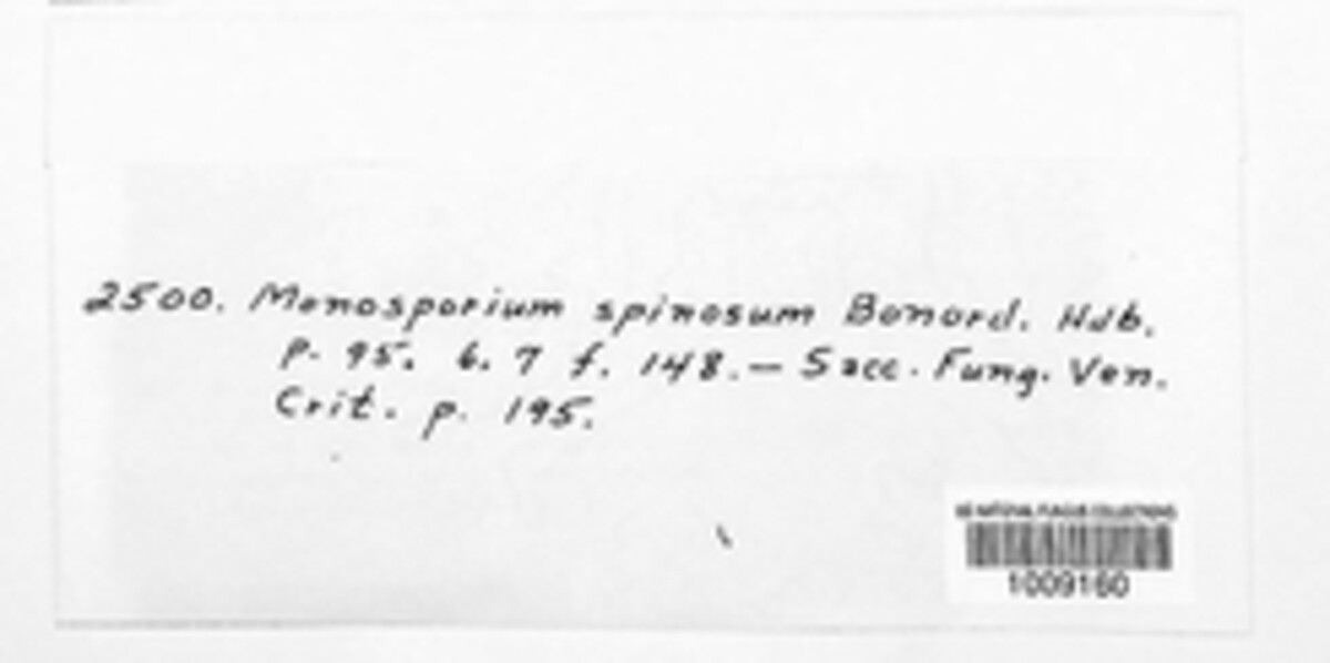 Monosporium image
